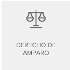 Derecho de Amparo